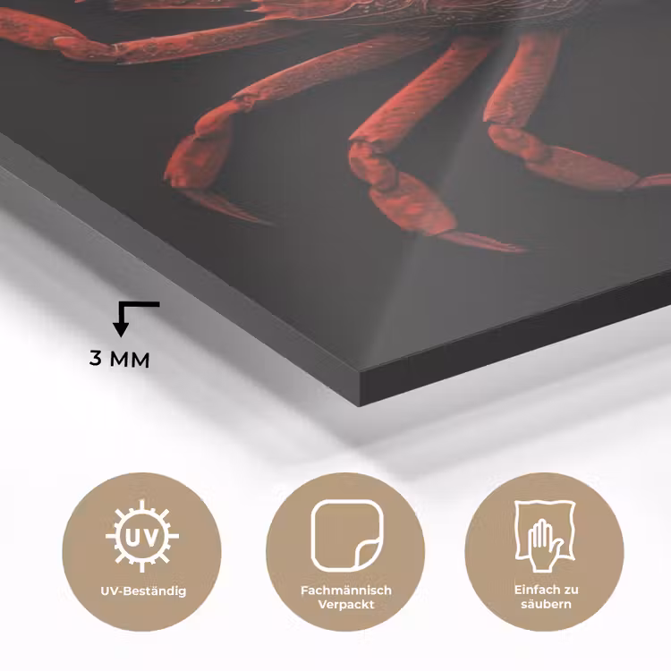 Krab - Rood - Vissen - Schaaldieren plexiglas 5mm klein -wsfeer2_DE