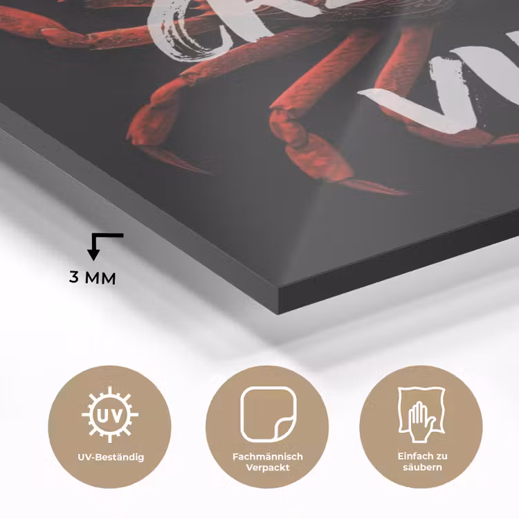 Krab - Rood - Tekst - Zwart plexiglas 5mm klein -wsfeer2_DE