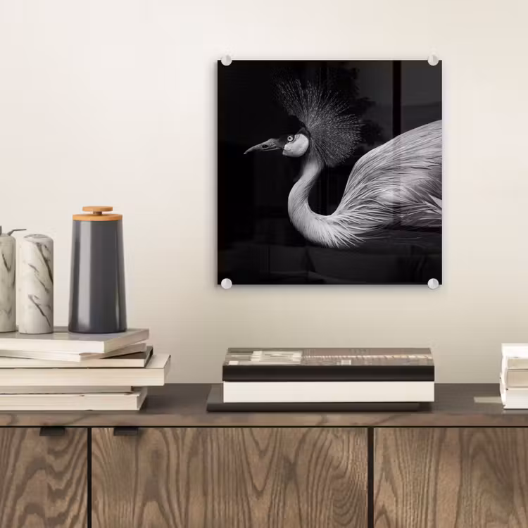 Kraanvogel - Zwart - Wit - Vogel - Dieren plexiglas 5mm klein -sfeer1