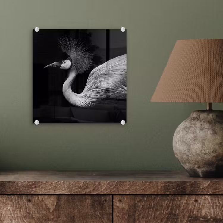 Kraanvogel - Zwart - Wit - Vogel - Dieren plexiglas 5mm klein -sfeer3