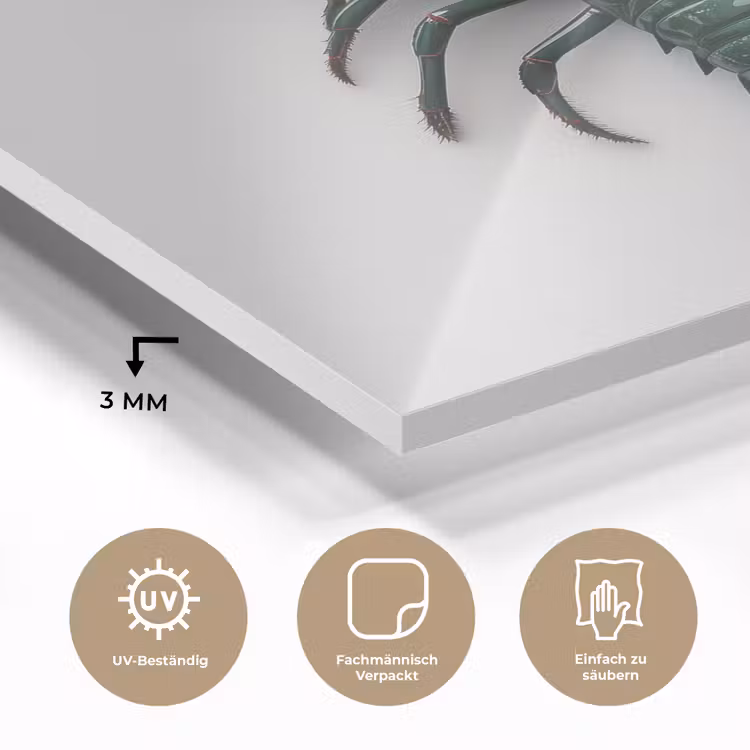 Kreeft - Glossier - Groen - Wit plexiglas 5mm klein -wsfeer2_DE