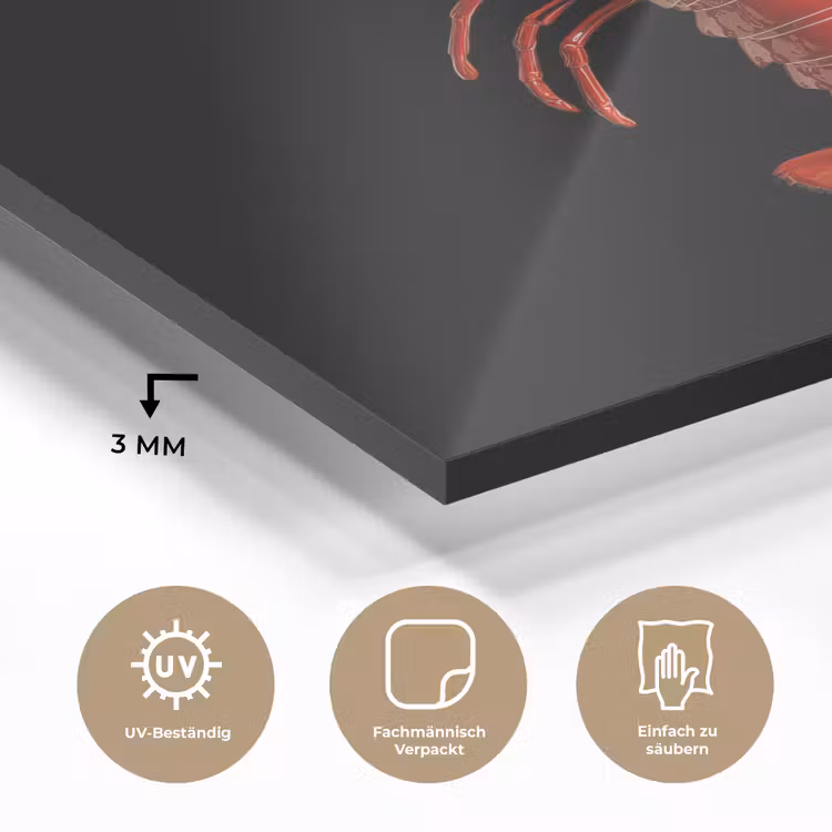 Kreeft - Glossier Rood - Zwart plexiglas 5mm klein -wsfeer2_DE