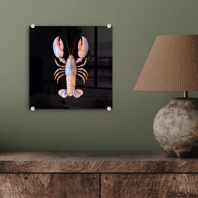Kreeft - Roze - Zacht - Zwart plexiglas 5mm klein -sfeer3