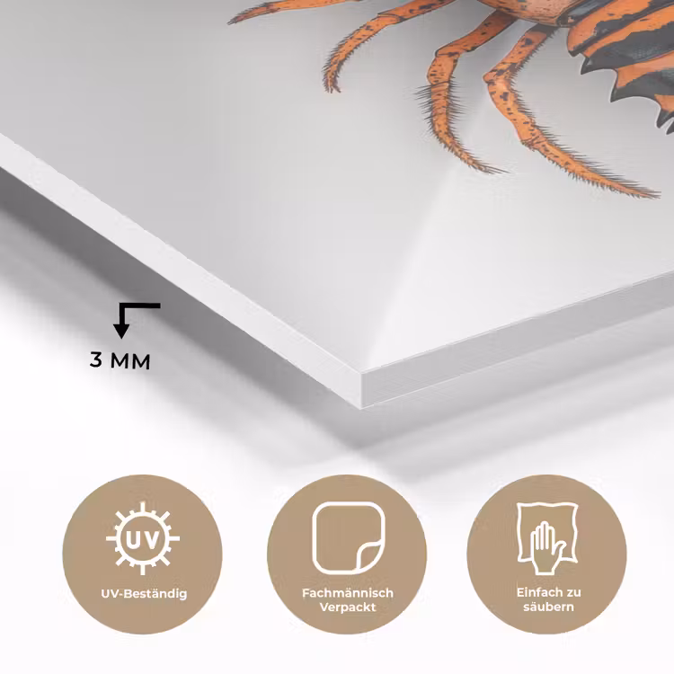 Kreeft - Zwart - Oranje - Wit - Uniek plexiglas 5mm klein -wsfeer2_DE