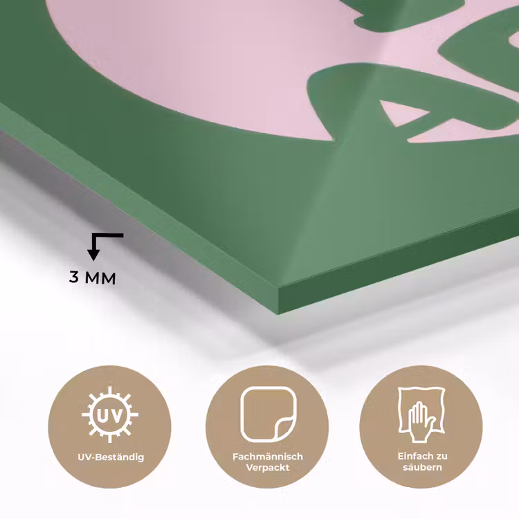 Cirkel - Roze - Tekst - Art plexiglas 5mm klein -wsfeer2_DE