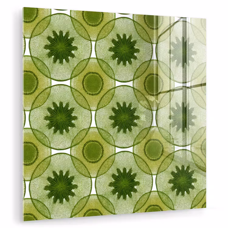 Cirkels - Patroon - Groen plexiglas 5mm klein 11 -zzzproduct_nieuw