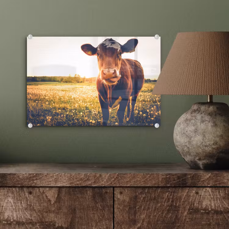 Koe - Zonsondergang - Bloemen - Gras - Dieren plexiglas 5mm klein -sfeer3