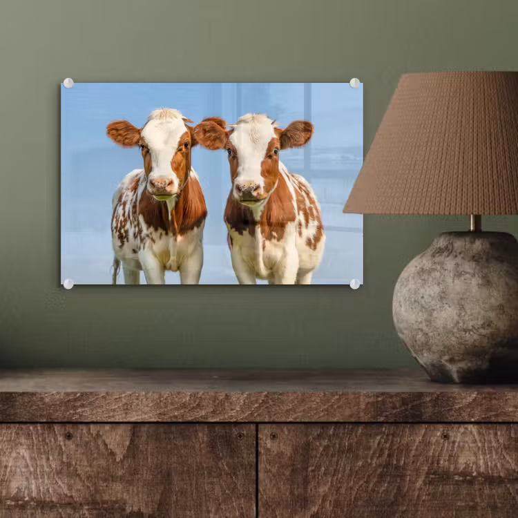 Koeien - Lucht - Dieren - Boerderij - Portret plexiglas 5mm klein -sfeer3