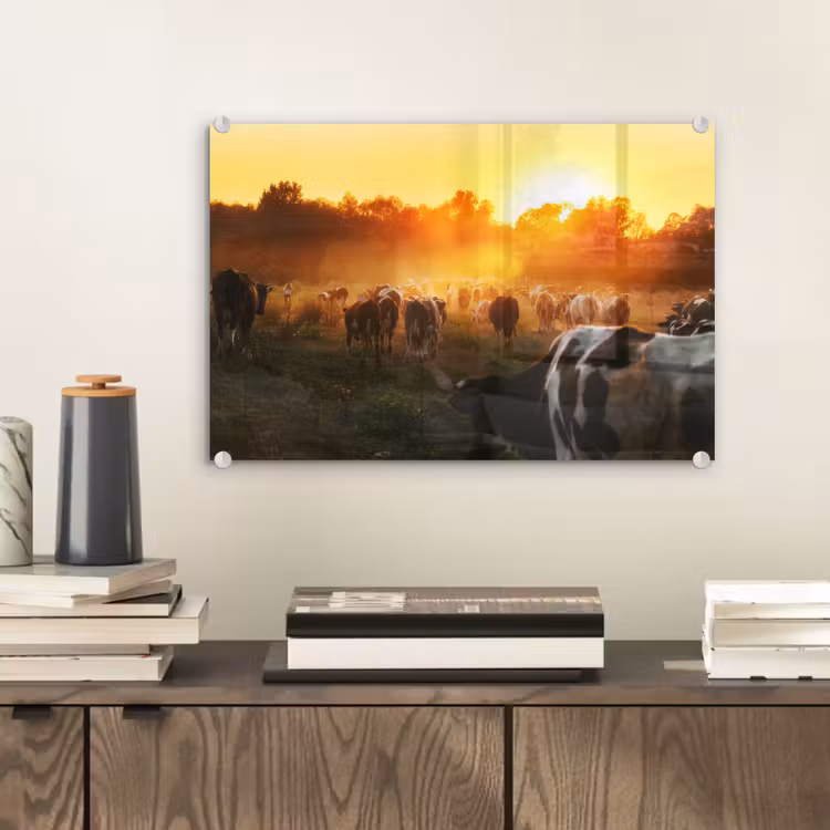 Koeien - Zonsondergang - Weiland - Dieren plexiglas 5mm klein -wsfeer2_DE