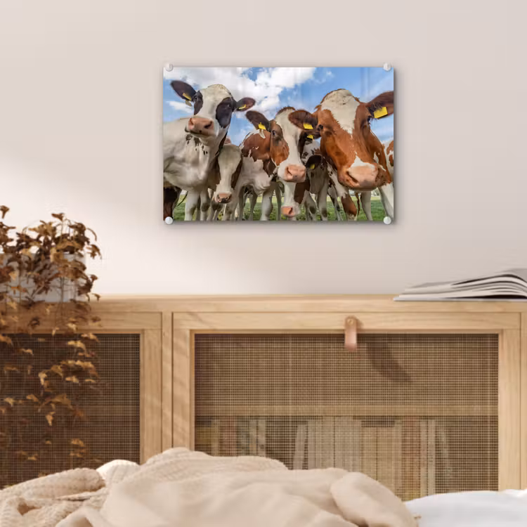 Koeien - Dieren - Weiland - Natuur plexiglas 5mm klein -sfeer4