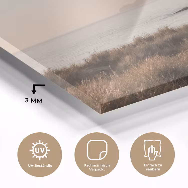 Landschap - Kust - Duinen plexiglas 5mm klein -wsfeer2_DE
