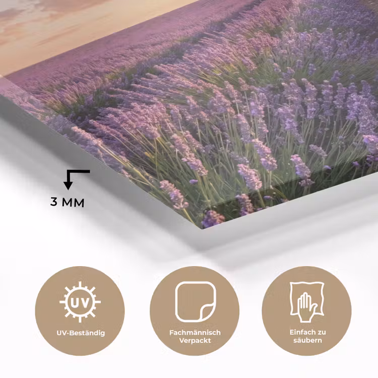 Landschap - Lavendelveld - Paars plexiglas 5mm klein -wsfeer2_DE