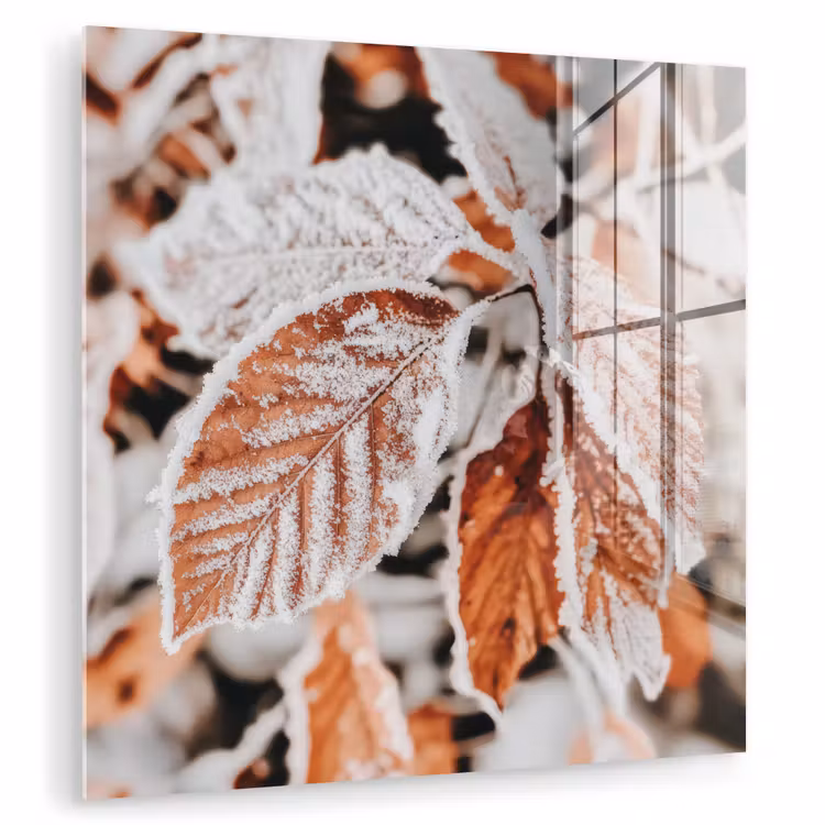 Bladeren - IJs - Winter - Natuur plexiglas 5mm klein -zzzproduct_nieuw