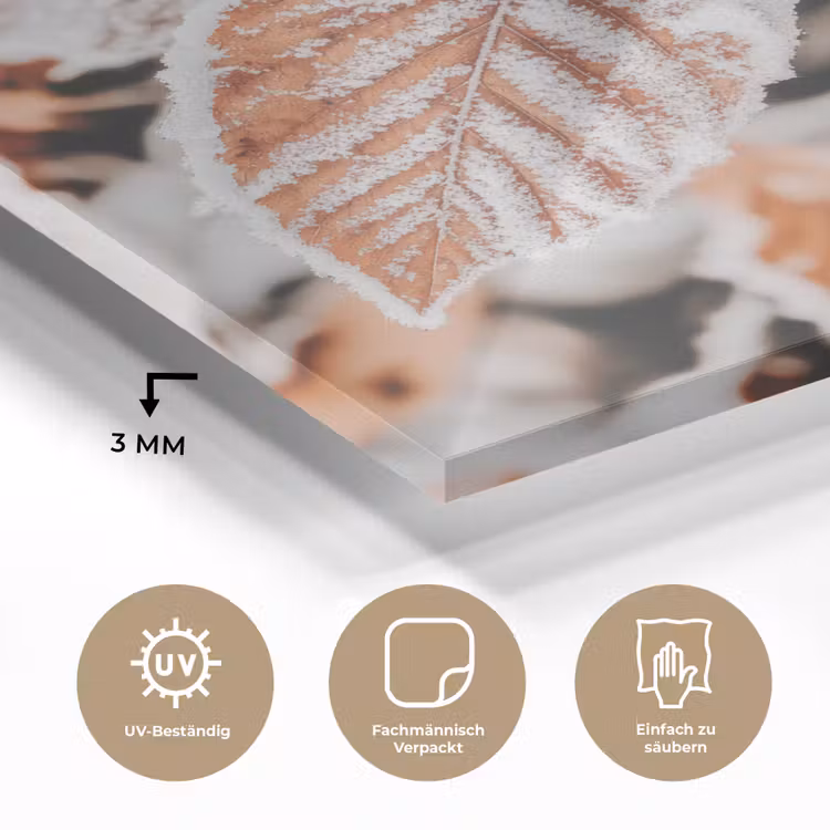 Bladeren - IJs - Winter - Natuur plexiglas 5mm klein -wsfeer2_DE
