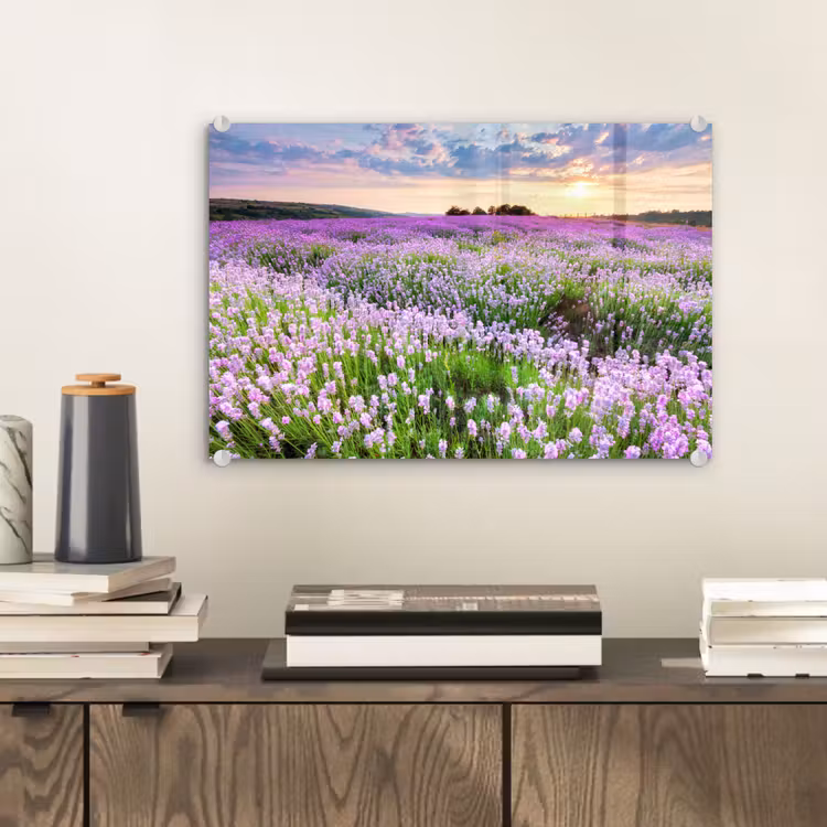 Lavendel - Bloemen - Zonsondergang - Paars - Weide plexiglas 5mm klein -sfeer1