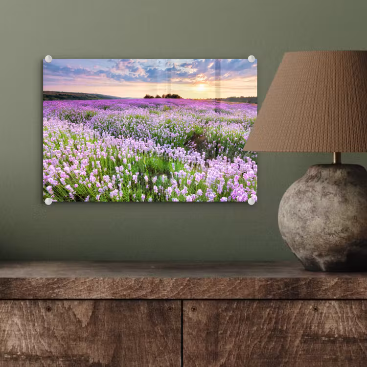 Lavendel - Bloemen - Zonsondergang - Paars - Weide plexiglas 5mm klein -wsfeer2_DE