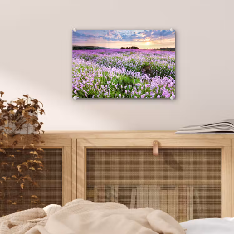 Lavendel - Bloemen - Zonsondergang - Paars - Weide plexiglas 5mm klein -sfeer3