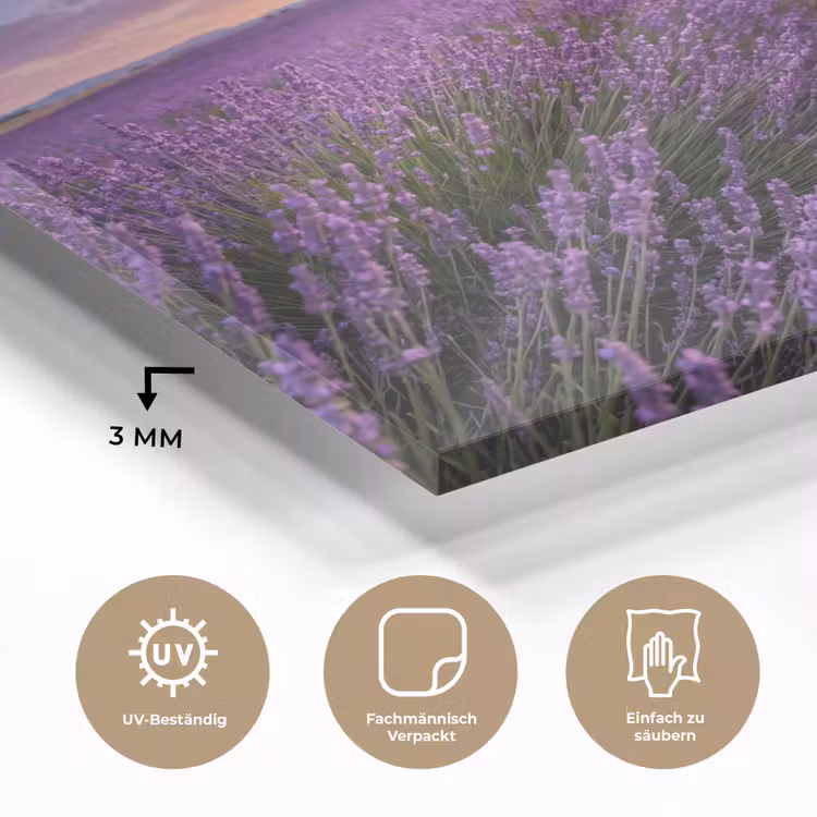 Lavendel - Veld - Natuur - Paars plexiglas 5mm klein -wsfeer2_DE