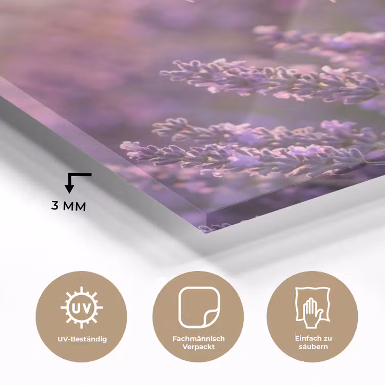 Lavendel - Paars - Zonlicht plexiglas 5mm klein -wsfeer2_DE