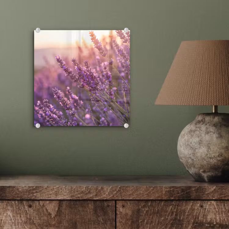 Lavendel - Paars - Zonlicht plexiglas 5mm klein -sfeer3
