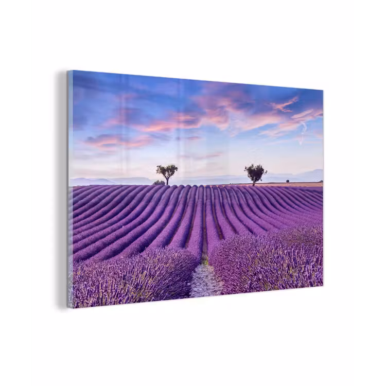 Lavendel - Natuur - Paars - Bomen - Bloemen plexiglas 5mm klein -zzzproduct_nieuw