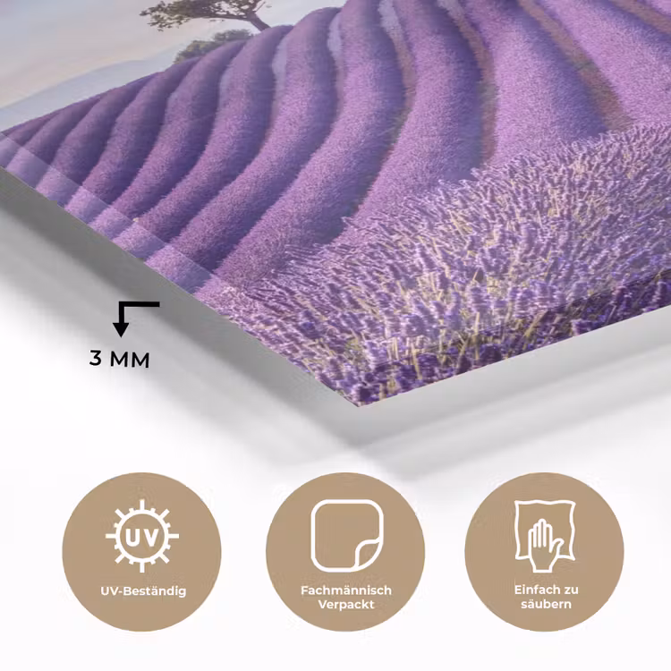 Lavendel - Natuur - Paars - Bomen - Bloemen plexiglas 5mm klein -wsfeer2_DE