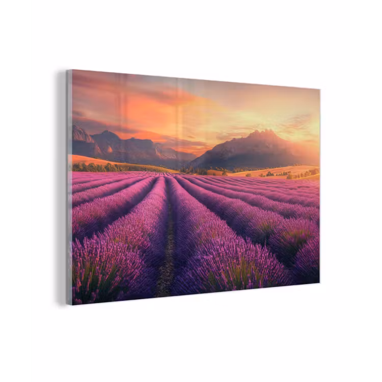 Lavendelveld - Zonsondergang - Paars plexiglas 5mm klein -zzzproduct_nieuw