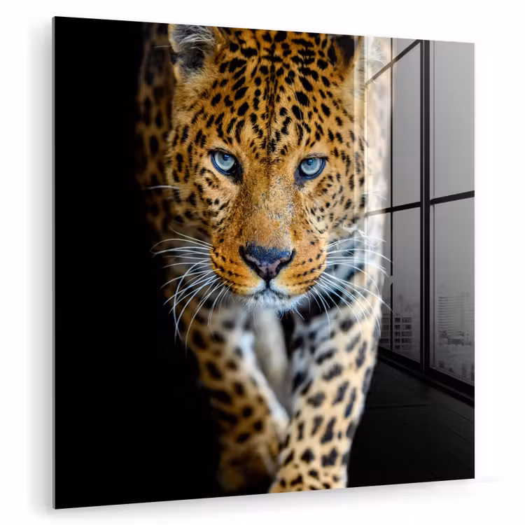 Luipaard - Dieren - Portret - Wilde dieren - Zwart plexiglas 5mm klein -zzzproduct_nieuw