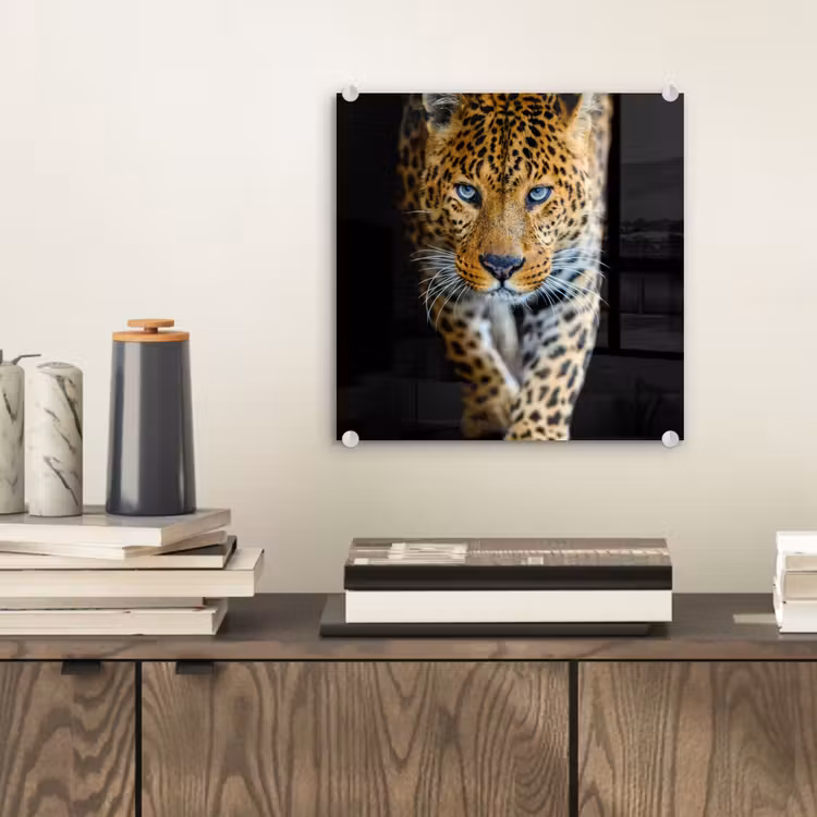 Luipaard - Dieren - Portret - Wilde dieren - Zwart plexiglas 5mm klein -sfeer1