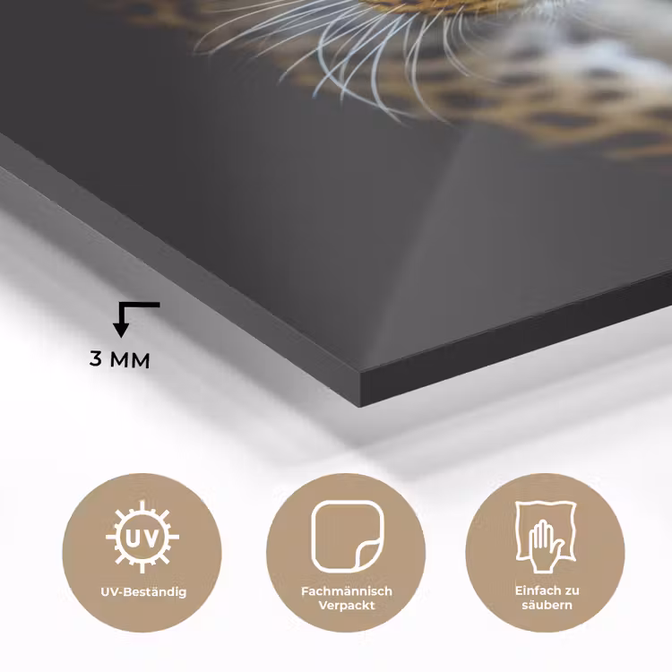 Luipaard - Dieren - Portret - Wilde dieren - Zwart plexiglas 5mm klein -wsfeer2_DE