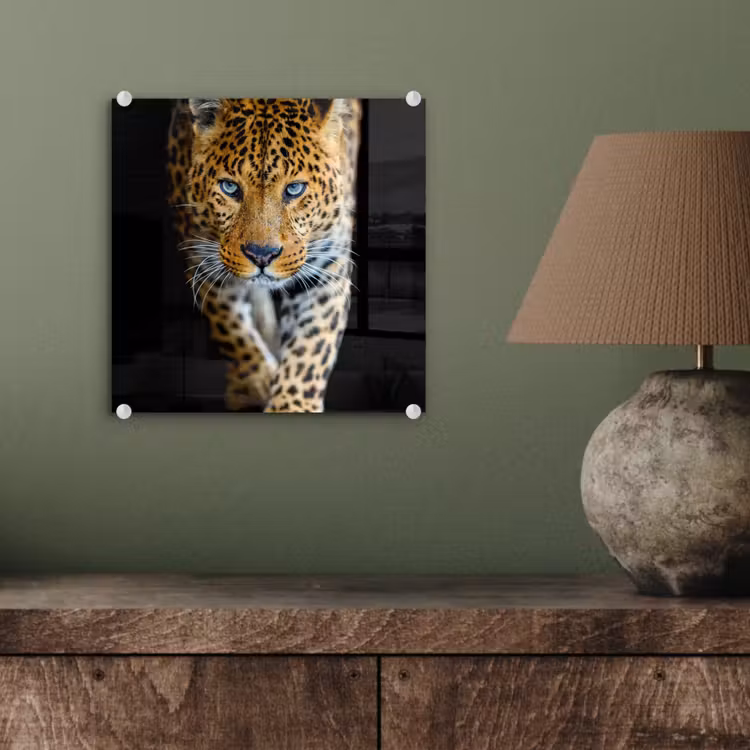 Luipaard - Dieren - Portret - Wilde dieren - Zwart plexiglas 5mm klein -sfeer3