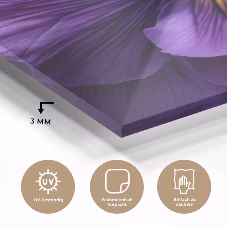 Paars - Viool - Diepte plexiglas 5mm klein -wsfeer2_DE