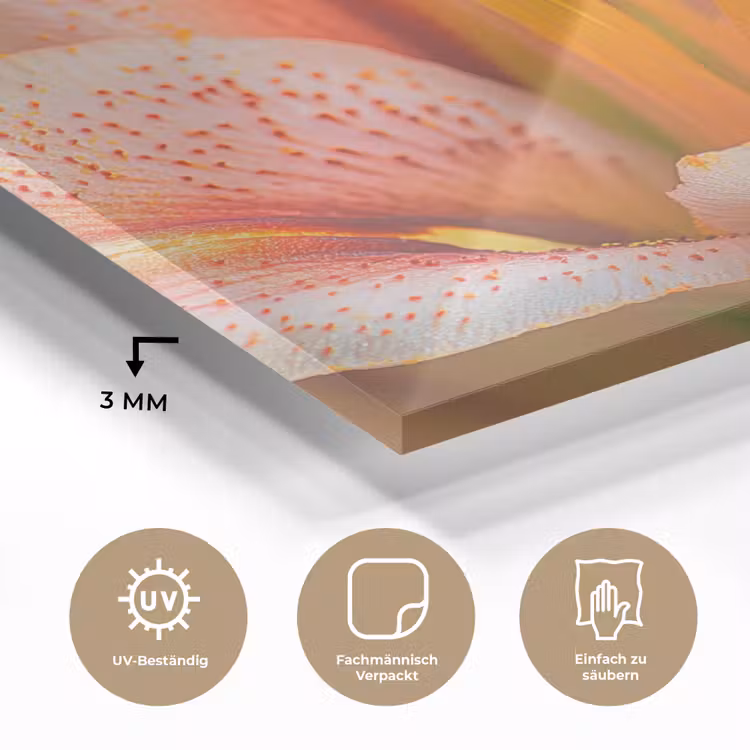 Lelie - Close up - Lichtroze plexiglas 5mm klein -wsfeer2_DE