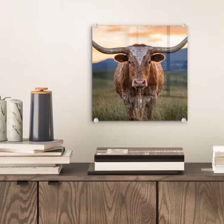 Longhorn - Landschap - Zonsondergang plexiglas 5mm klein -sfeer1