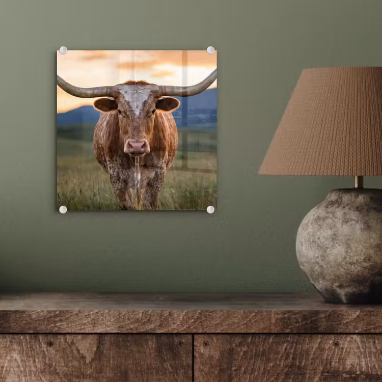 Longhorn - Landschap - Zonsondergang plexiglas 5mm klein -sfeer3