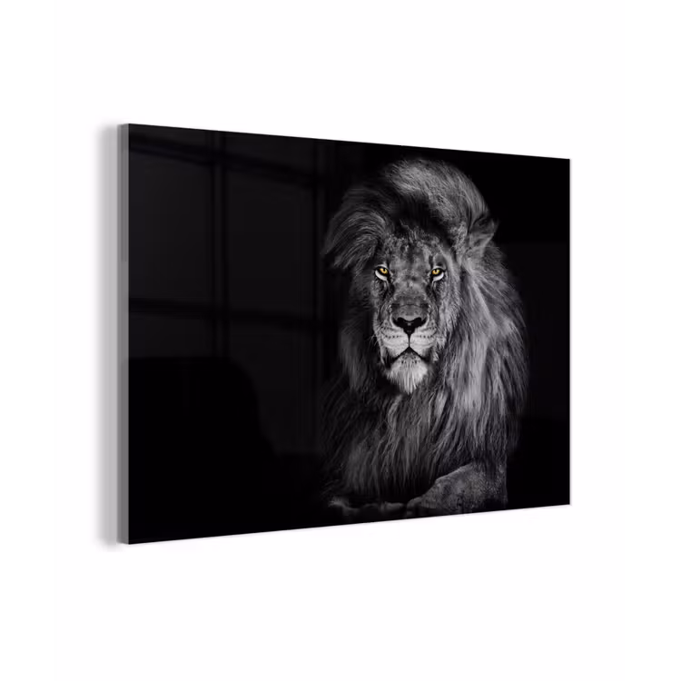 Leeuw - Ogen - Oranje - Zwart wit - Dieren - Portret plexiglas 5mm klein -zzzproduct_nieuw