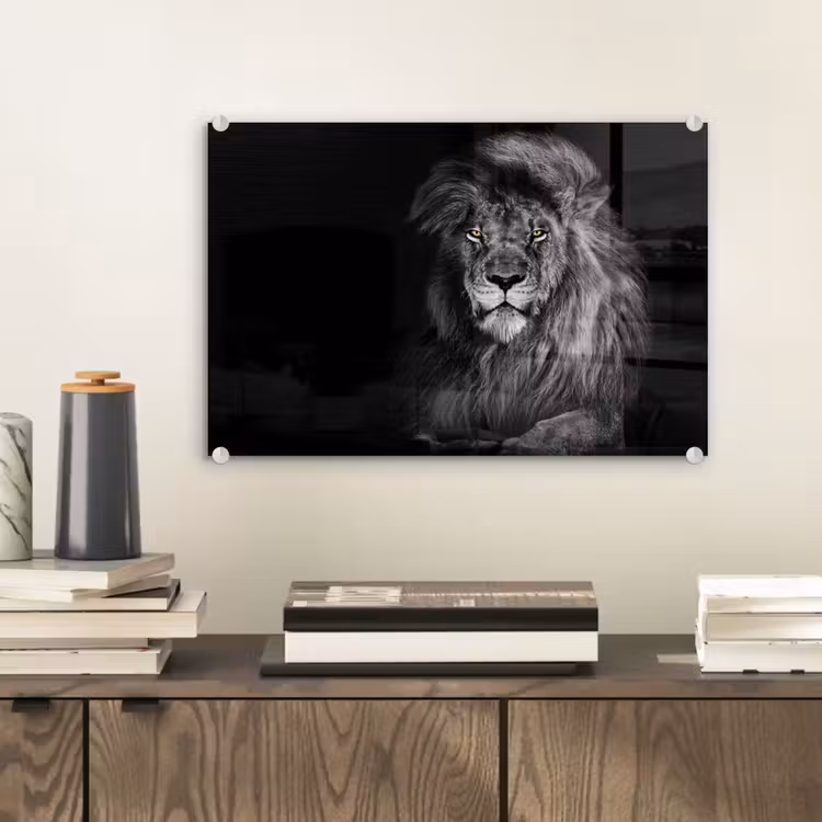 Leeuw - Ogen - Oranje - Zwart wit - Dieren - Portret plexiglas 5mm klein -sfeer1