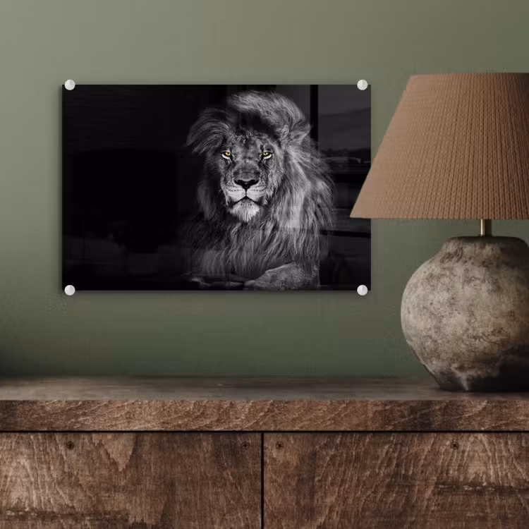 Leeuw - Ogen - Oranje - Zwart wit - Dieren - Portret plexiglas 5mm klein -wsfeer2_DE