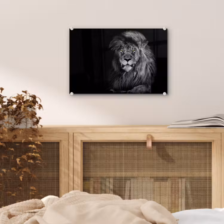 Leeuw - Ogen - Oranje - Zwart wit - Dieren - Portret plexiglas 5mm klein -sfeer3