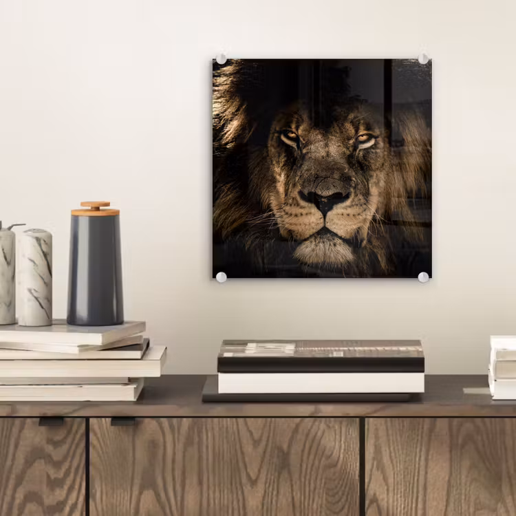 Leeuw - Dieren - Zwart - Portret plexiglas 5mm klein -sfeer1