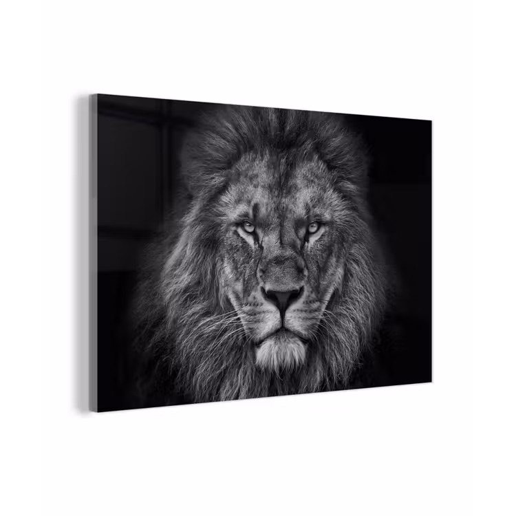 Leeuw - Dieren - Zwart - Wit plexiglas 5mm klein -z3d