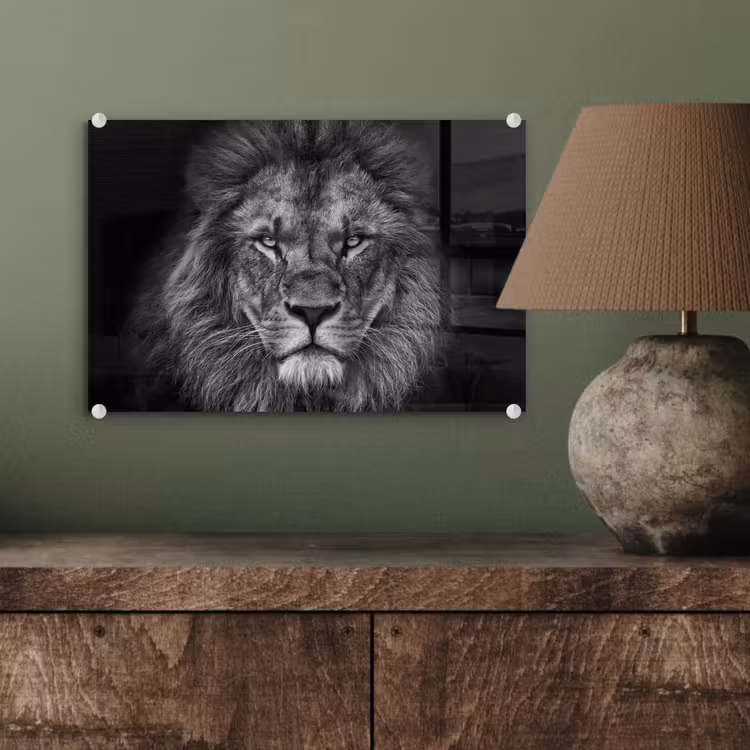 Leeuw - Dieren - Zwart - Wit plexiglas 5mm klein -sfeer3