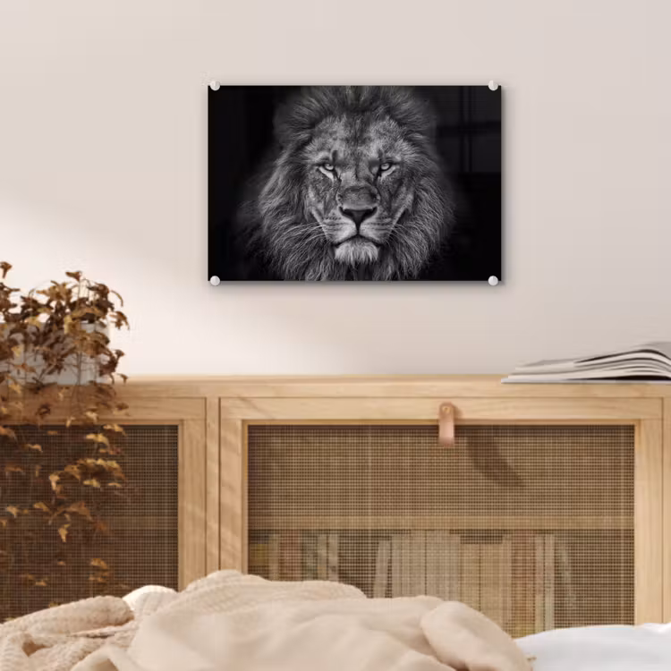 Leeuw - Dieren - Zwart - Wit plexiglas 5mm klein -sfeer4