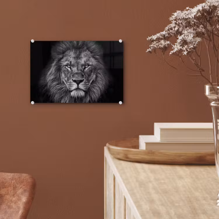 Leeuw - Dieren - Zwart - Wit plexiglas 5mm klein -sfeer5