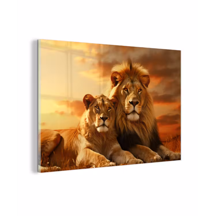 Leeuwen - Zonsondergang - Afrika - Savanne - Dieren plexiglas 5mm klein -zzzproduct_nieuw