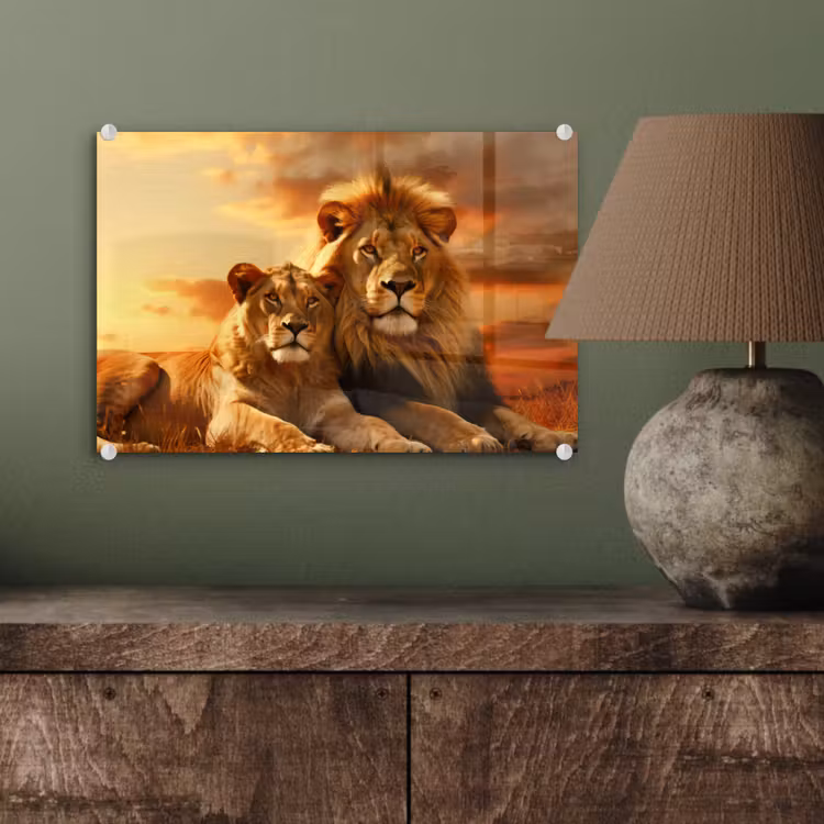 Leeuwen - Zonsondergang - Afrika - Savanne - Dieren plexiglas 5mm klein -wsfeer2_DE