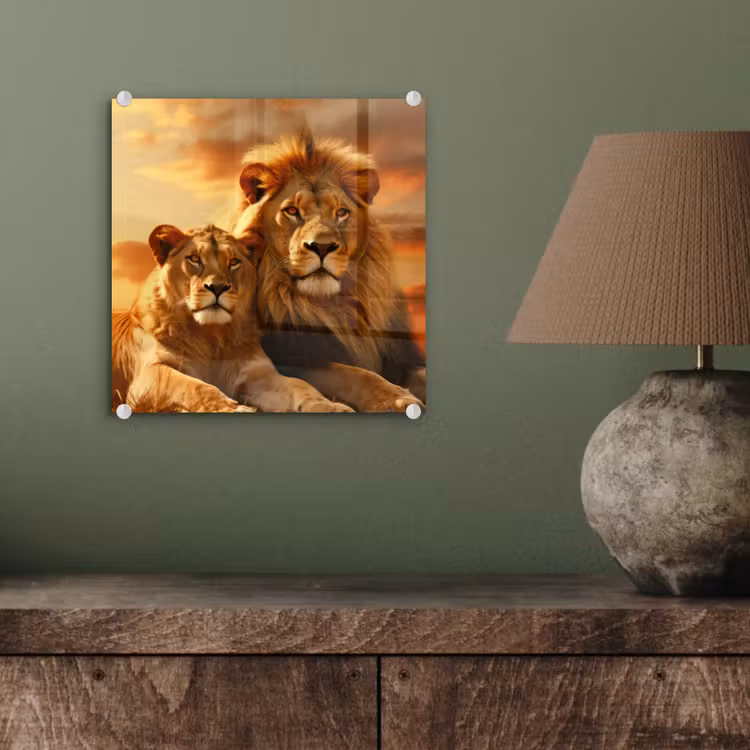 Leeuwen - Zonsondergang - Afrika - Savanne - Dieren plexiglas 5mm klein -sfeer3