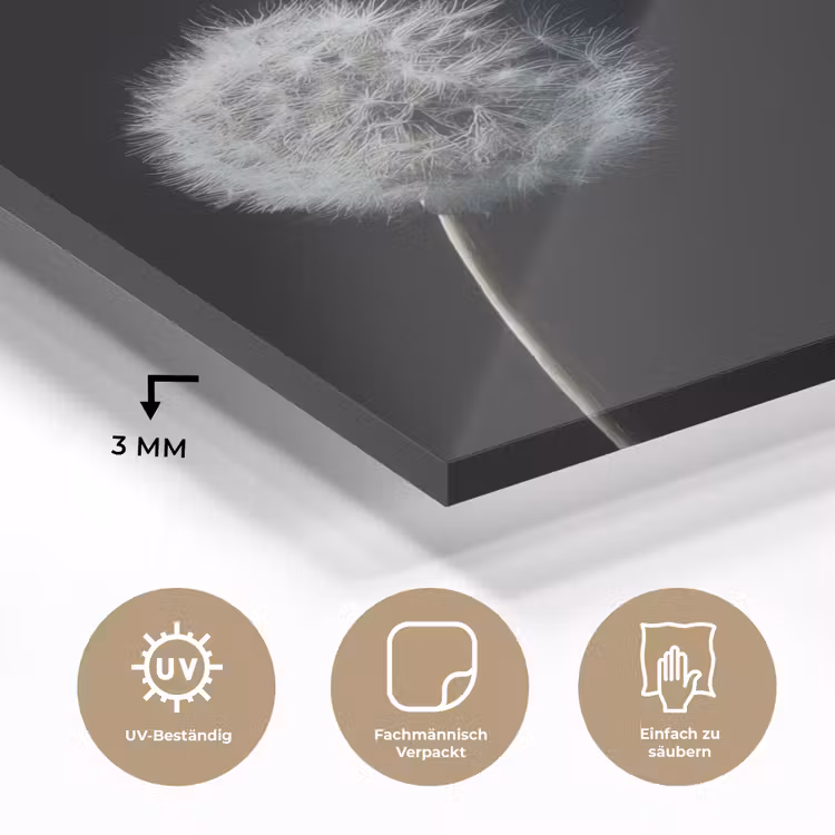 Paardenbloem - Zwart - Natuur plexiglas 5mm klein -wsfeer2_DE