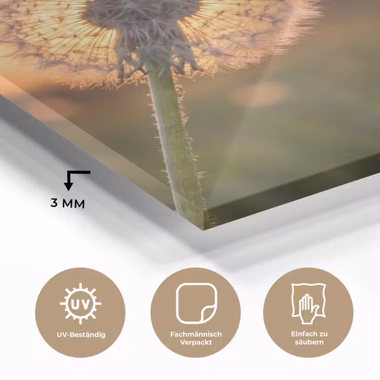 Paardenbloem - Zonsondergang - Veld plexiglas 5mm klein -wsfeer2_DE