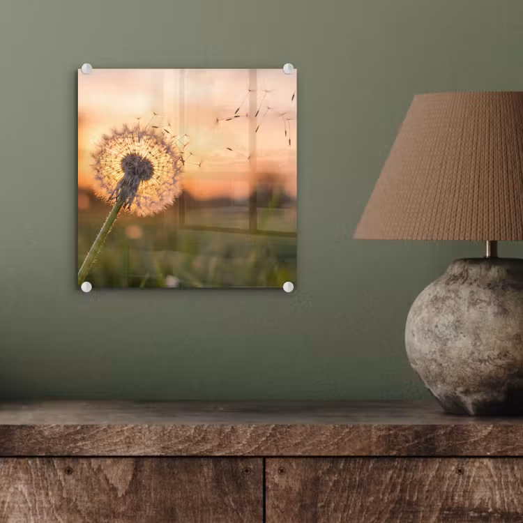 Paardenbloem - Zonsondergang - Veld plexiglas 5mm klein -sfeer3